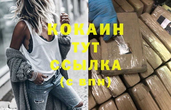 спиды Горняк