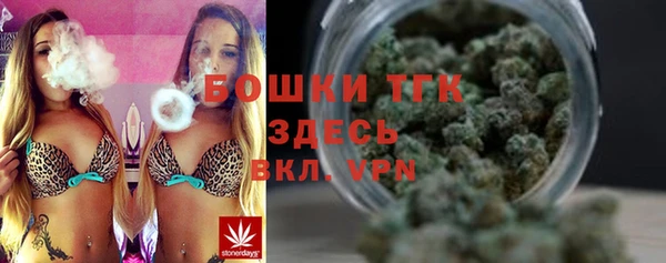 прущая мука Вяземский