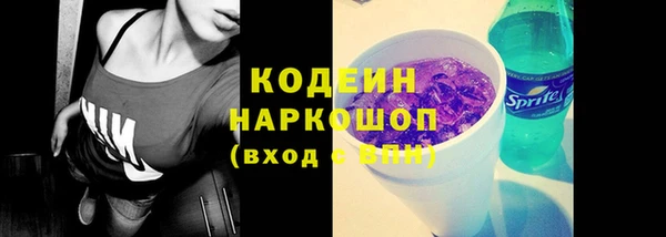 прущая мука Вяземский