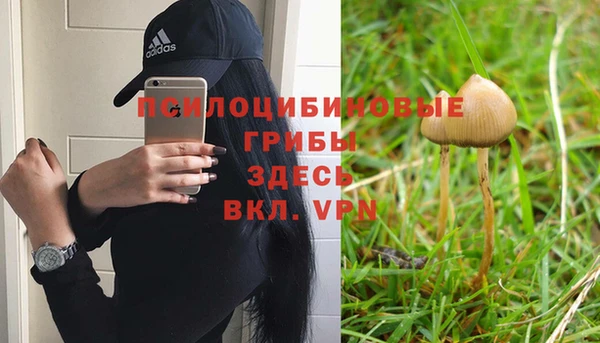 не бодяженный Вязьма