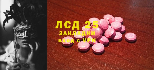 спиды Горняк