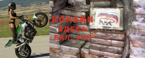 прущая мука Вяземский