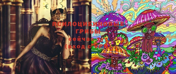 винт Горно-Алтайск