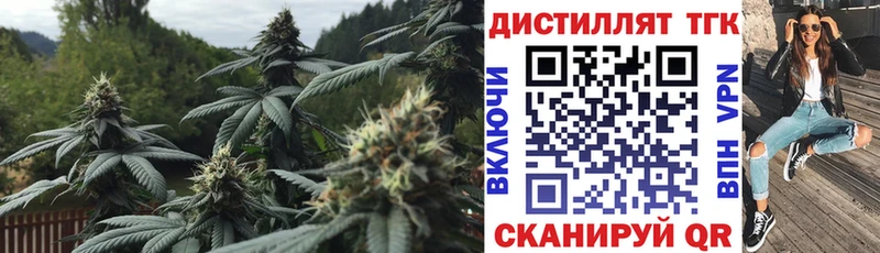 МЕГА ссылки  Ершов  Дистиллят ТГК гашишное масло  магазин   