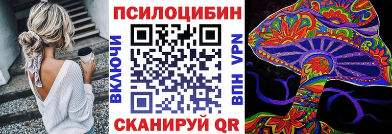 Псилоцибиновые грибы прущие грибы  Ершов 